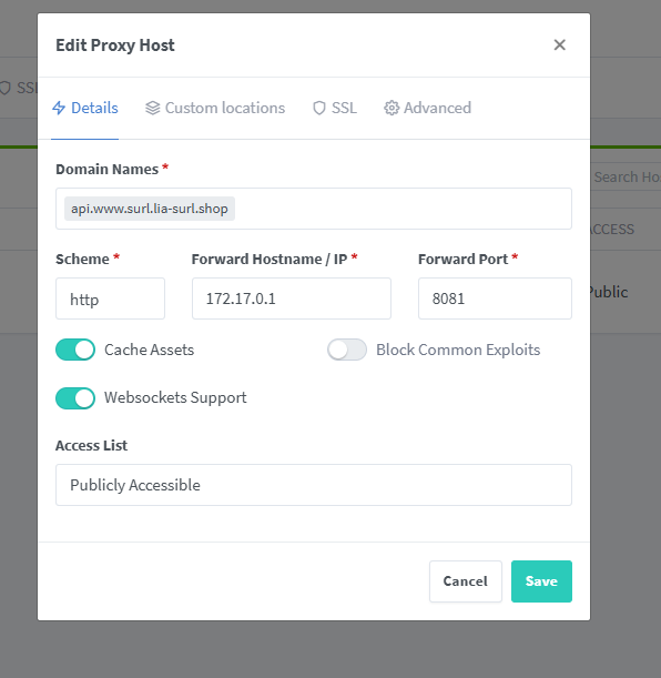 AWS (redis, Nginx Proxy Manage)