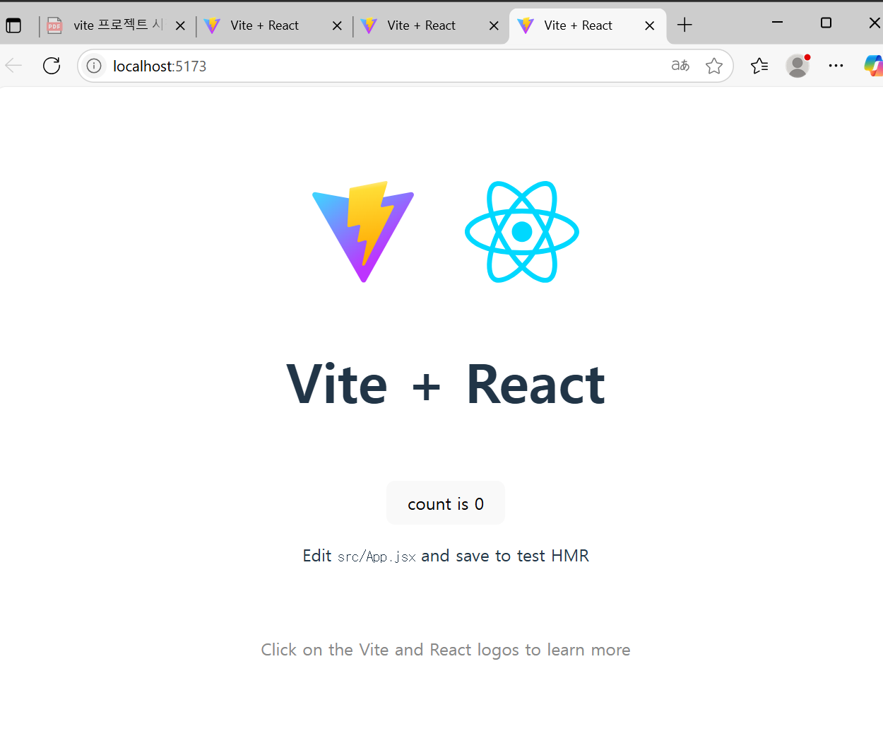 npm run dev
