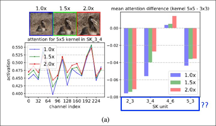 Selective Kernel Networks