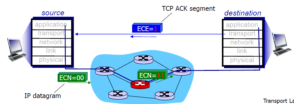 ecn