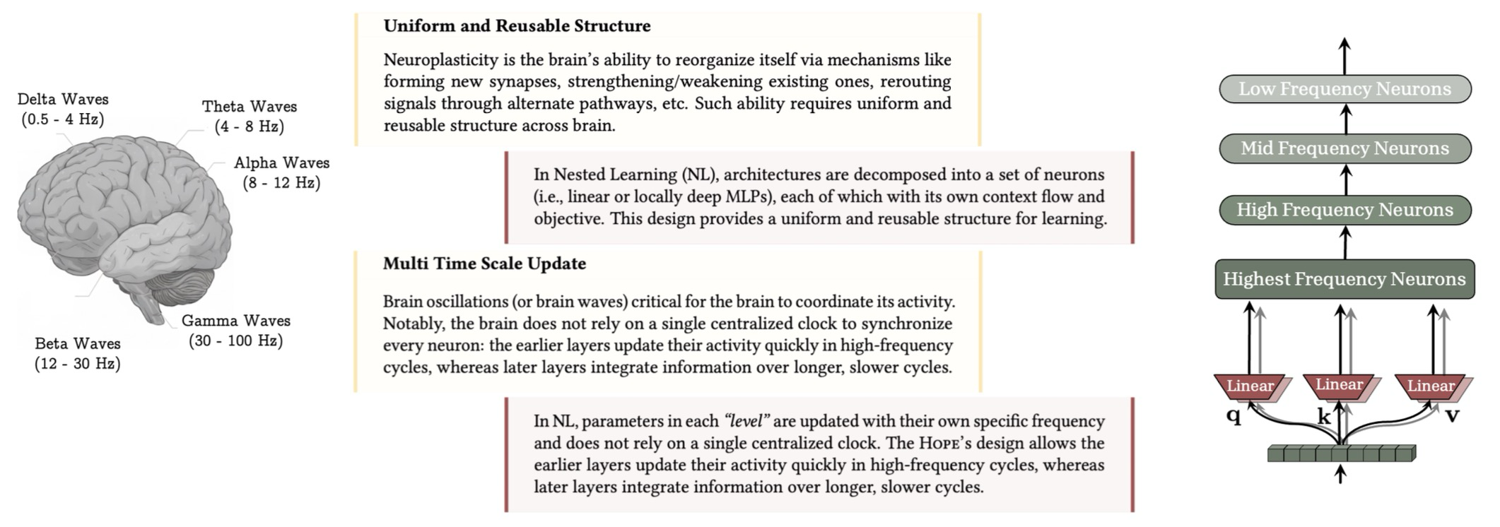 Figure 1: 뇌의 균일하고 재사용 가능한 구조와 다중 시간 규모 업데이트는 인간의 지속 학습을 구현하는 핵심 구성 요소이다. 중첩 학습은 뇌의 각 구성 요소에 대해 다중 시간 규모 업데이트를 허용하는 동시에, Transformer와 같은 잘 알려진 아키텍처가 사실상 다른 주파수 업데이트를 가진 선형 계층임을 보여준다.