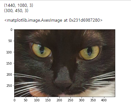 OpenCV (Open Source Computer Vision Library)