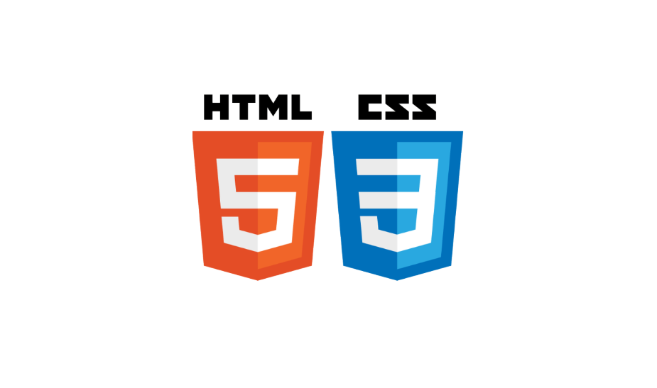 HTML (box-shadow, 추가된 내용)