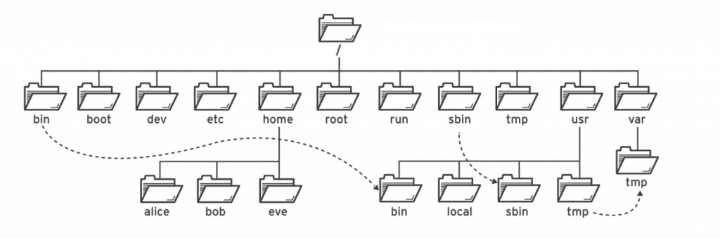 Linux & Terminal