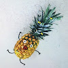 comment-user-thumbnail