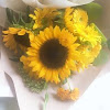 comment-user-thumbnail