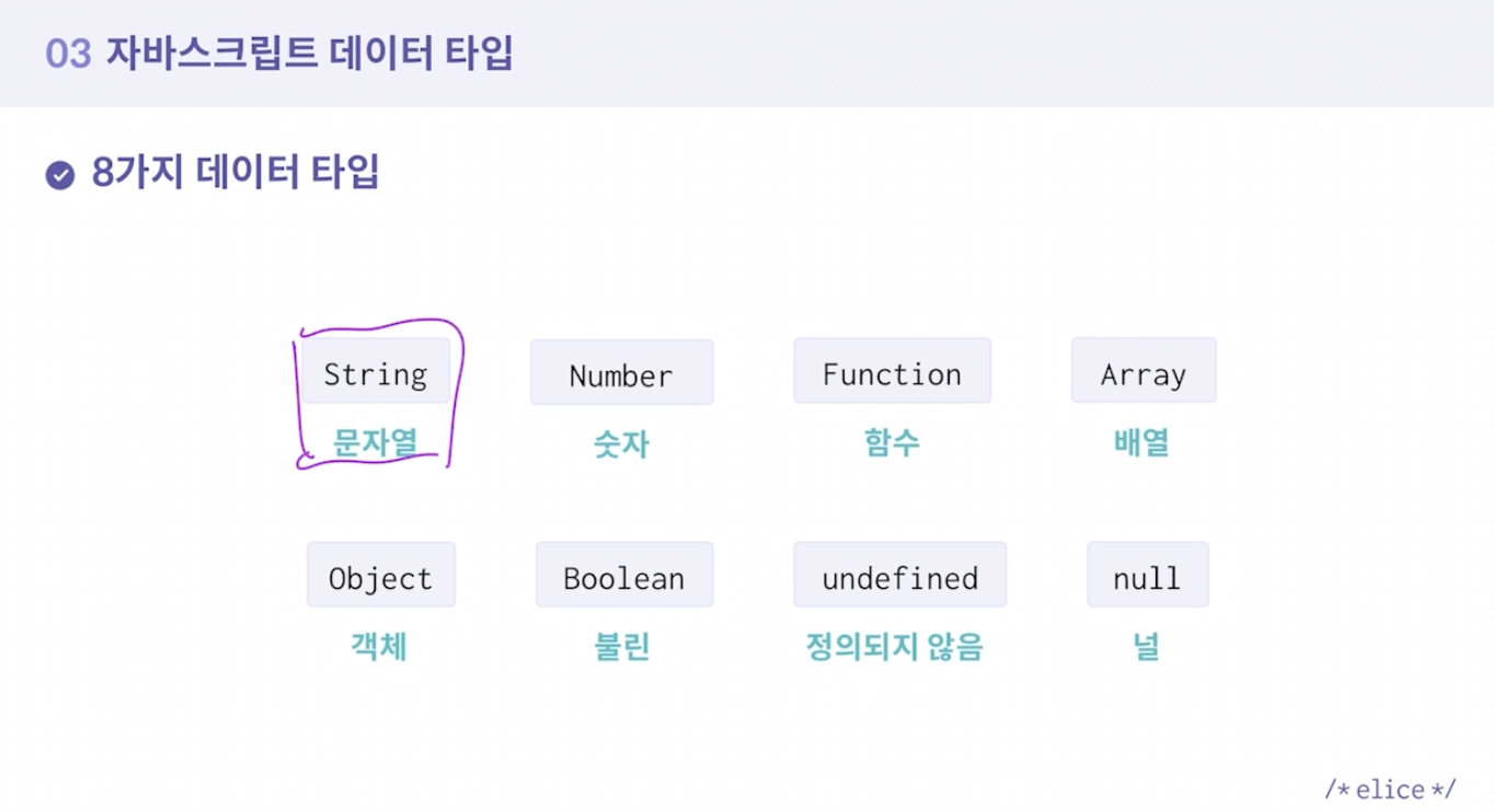 데이터타입