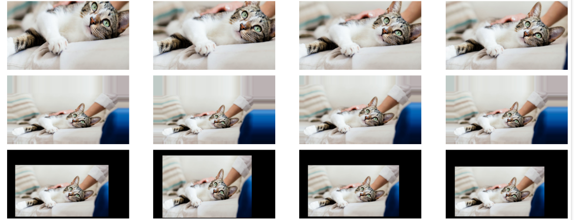 Data Augmentation (1)
