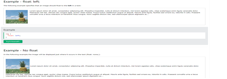 CSS - Layout