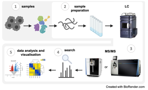 Proteomics 과정