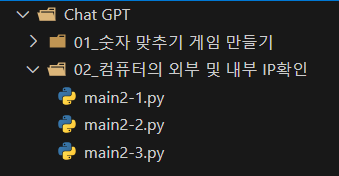 Chat GPT와 Python을 이용하여 컴퓨터의 외부 및 내부 IP확인