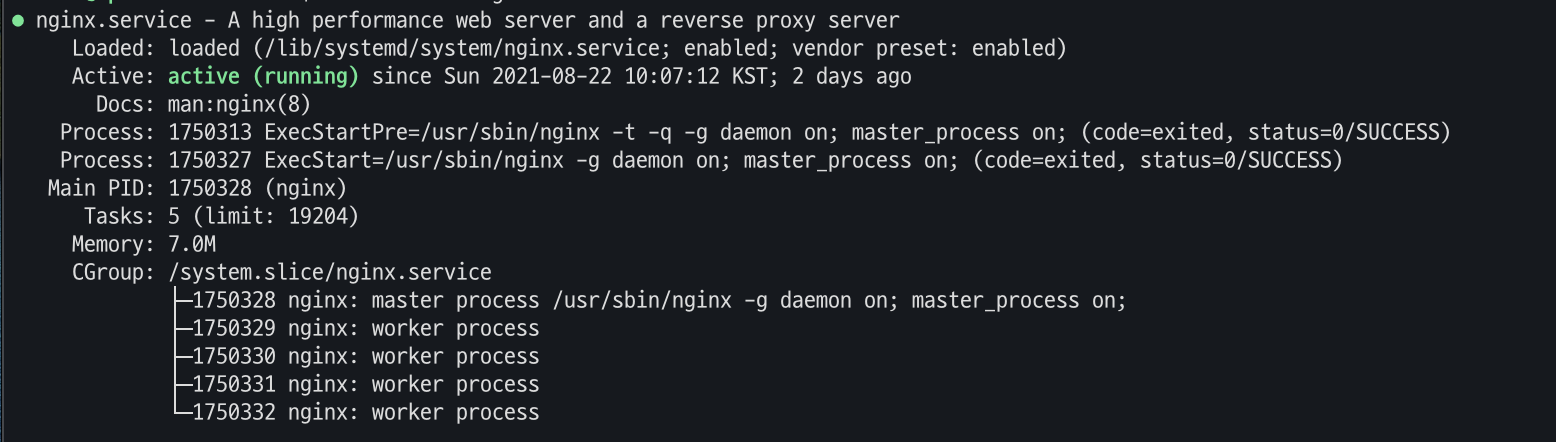 2. Nginx 설치 부터 spring boot 기반 앱 배포 - Cerbot 인증서 발급과 SSL 적용
