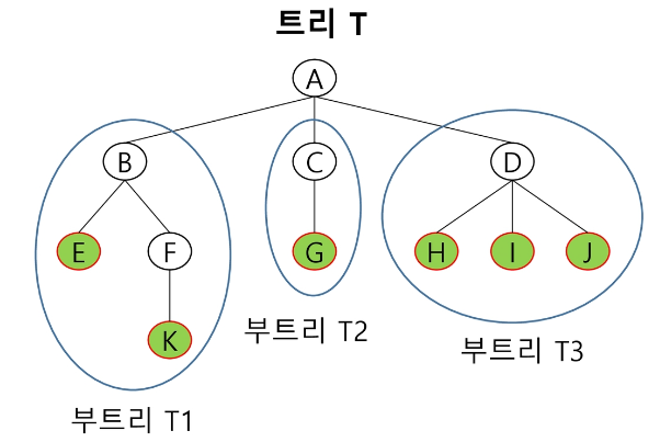 부 트리