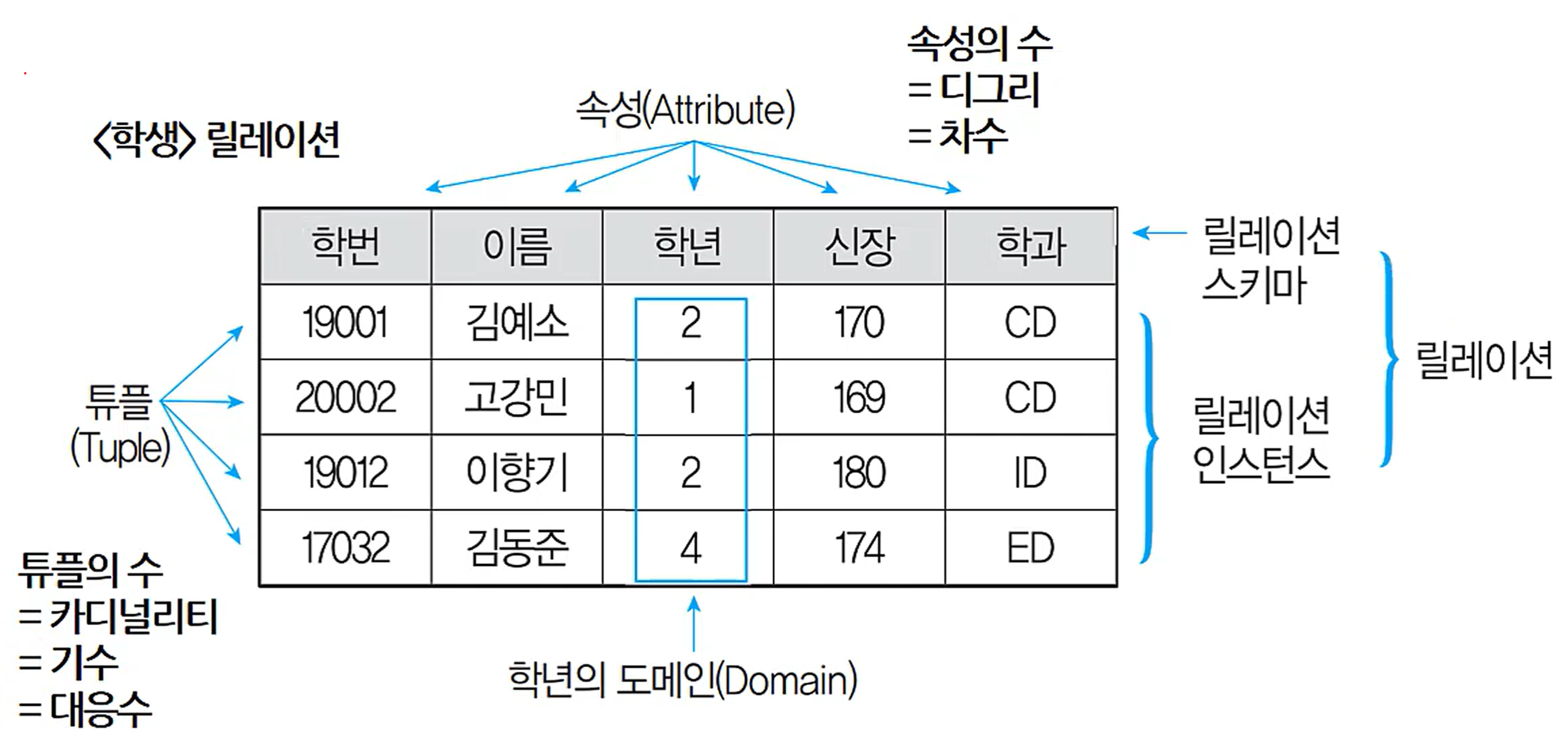 릴레이션