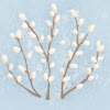 comment-user-thumbnail