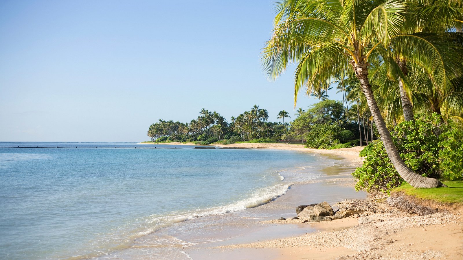 comment-user-thumbnail