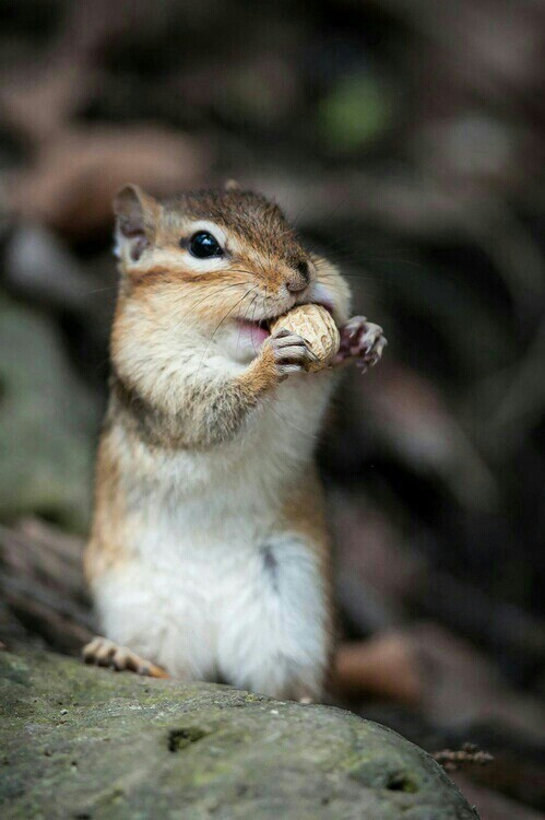 comment-user-thumbnail