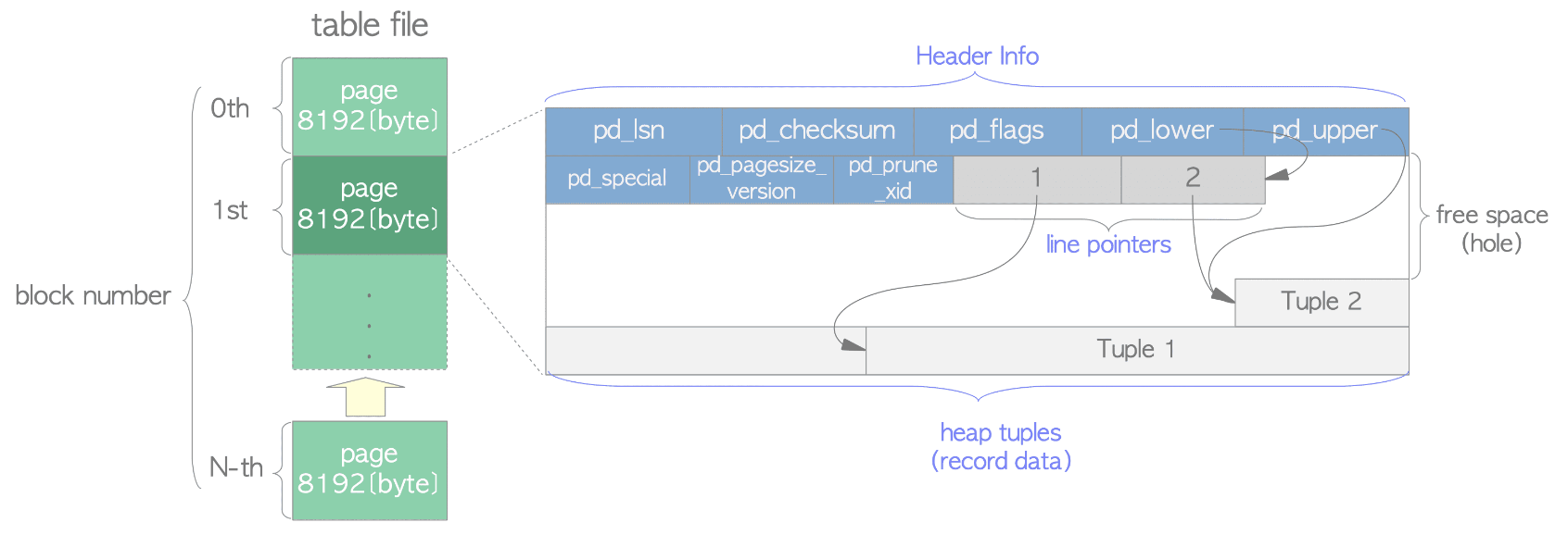 Chapter 1. Database Cluster, Databases And Tables