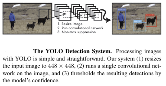 YOLO Detection System