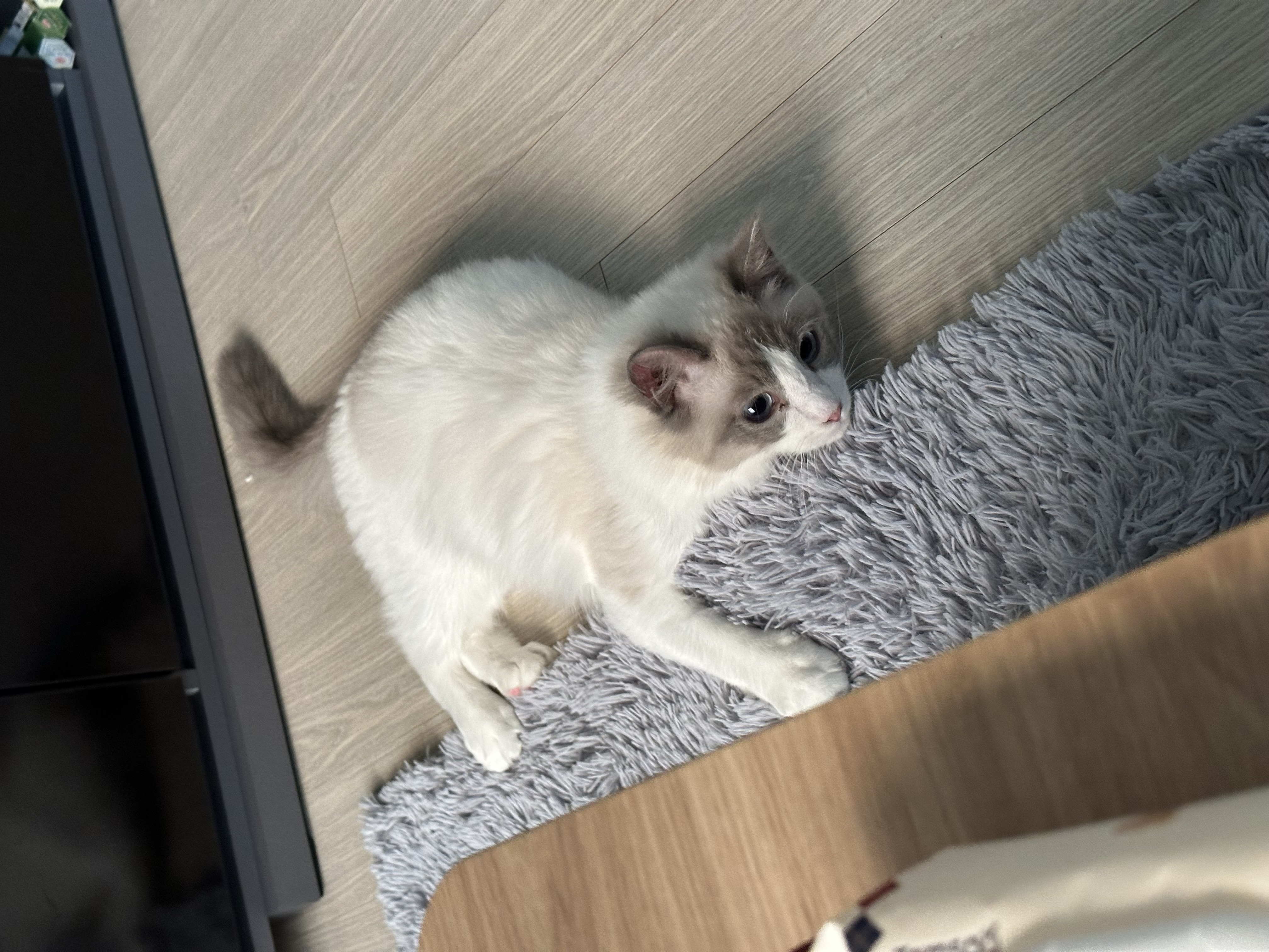 comment-user-thumbnail