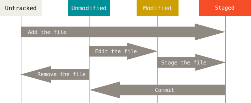 Git Study