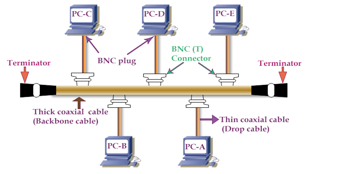 Introduction to Computer Network