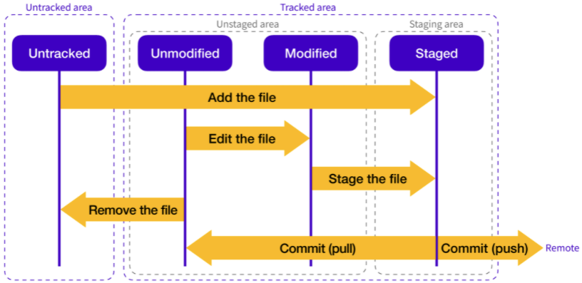 Git/Github Workflow