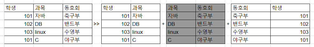 5차 정규화