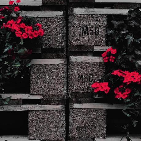 comment-user-thumbnail