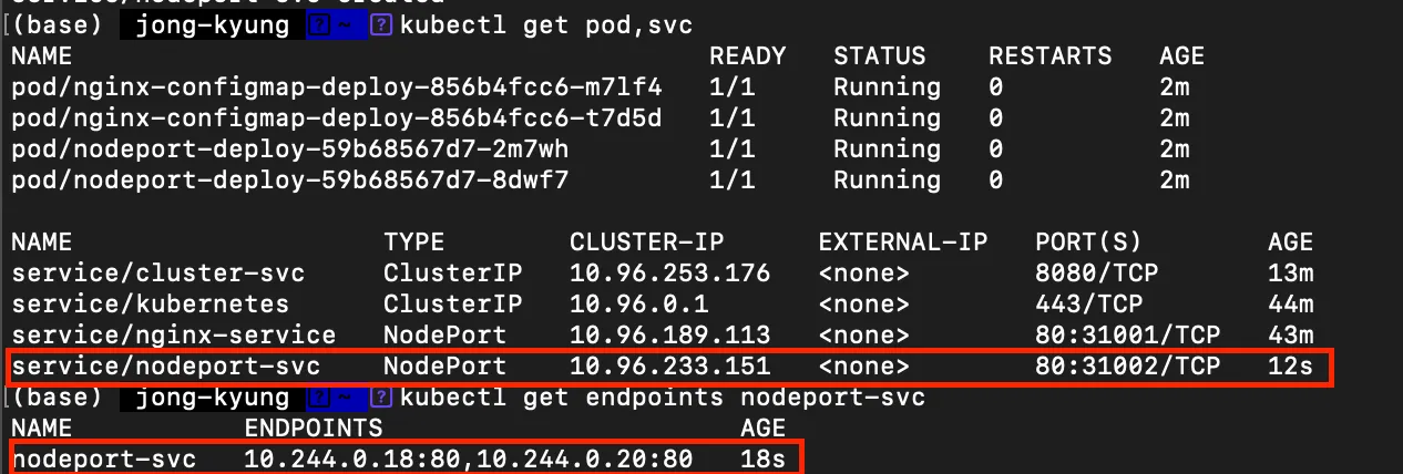 nodeport deploy