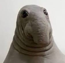 comment-user-thumbnail