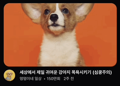 scale 애니메이션 동작 gif