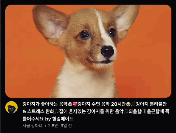 영상 컴포넌트 hover 애니메이션 gif