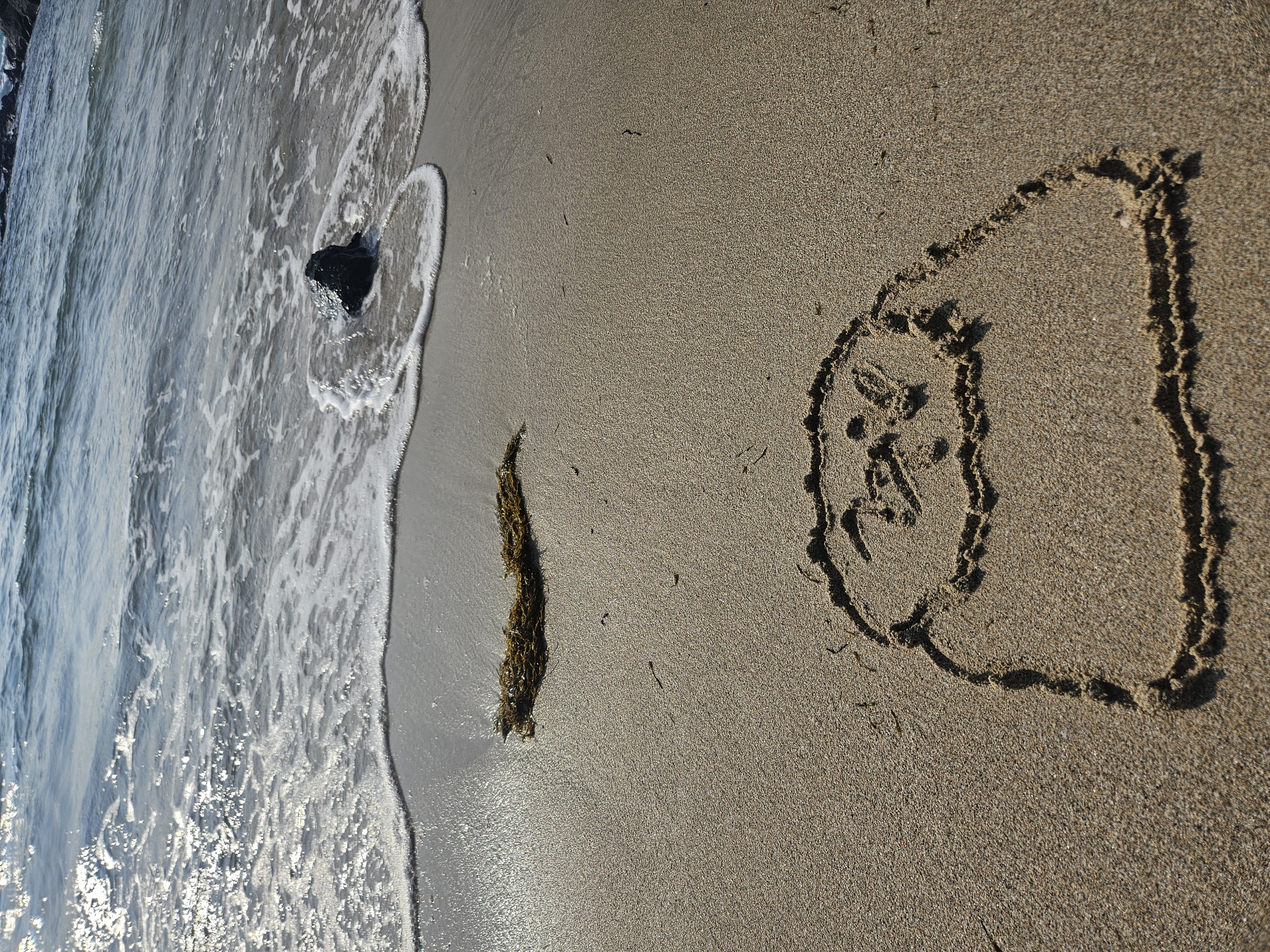 comment-user-thumbnail