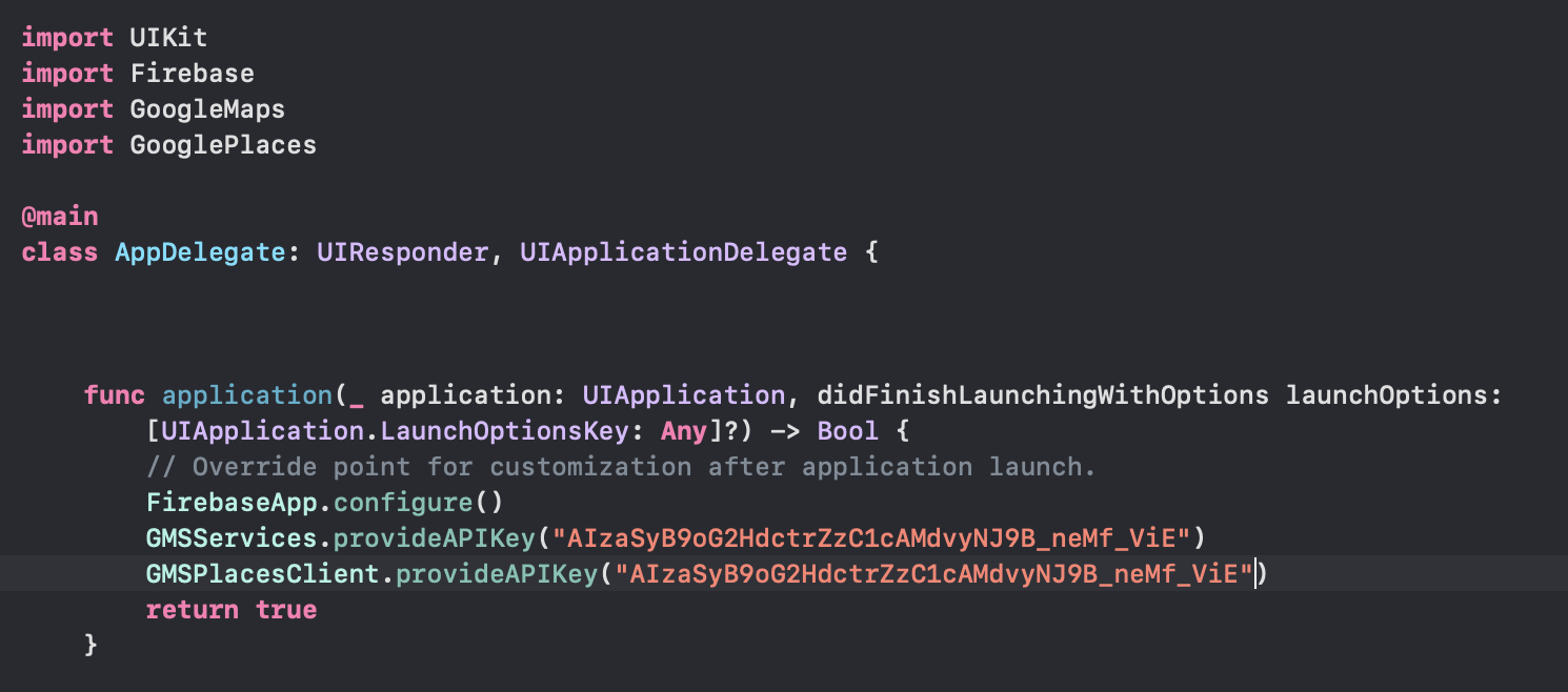 Google Map API