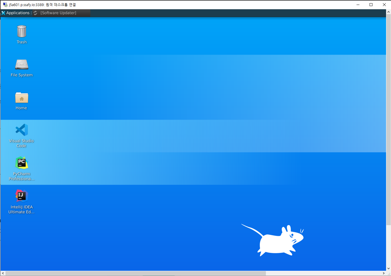 [AWS] EC2에 ubuntu GUI 설치하기