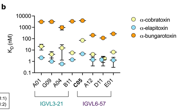[논문 리뷰] Rational design of antibodies with pH-dependent antigen-binding ...