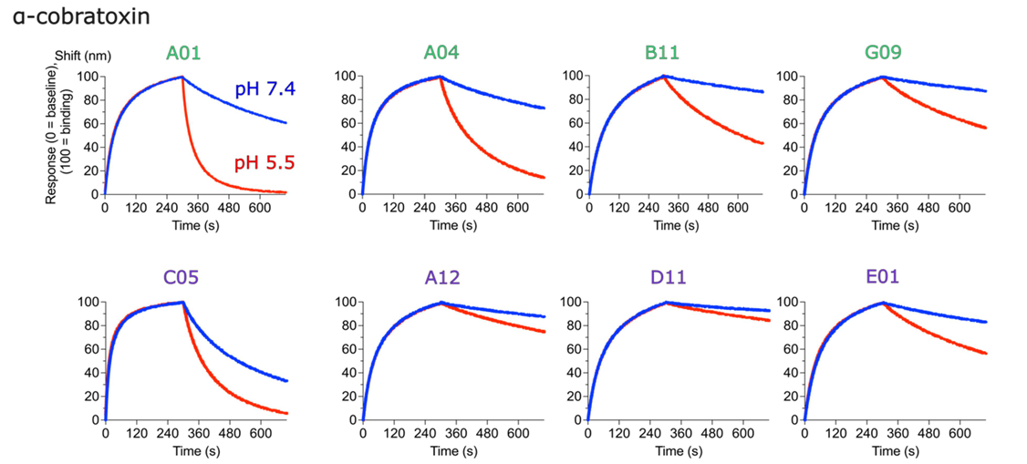 [논문 리뷰] Rational design of antibodies with pH-dependent antigen-binding ...