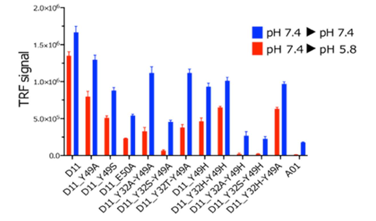 [논문 리뷰] Rational design of antibodies with pH-dependent antigen-binding ...