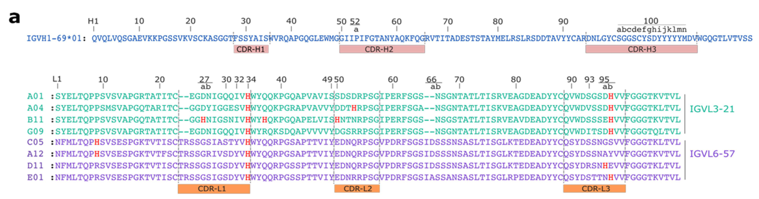 [논문 리뷰] Rational design of antibodies with pH-dependent antigen-binding ...