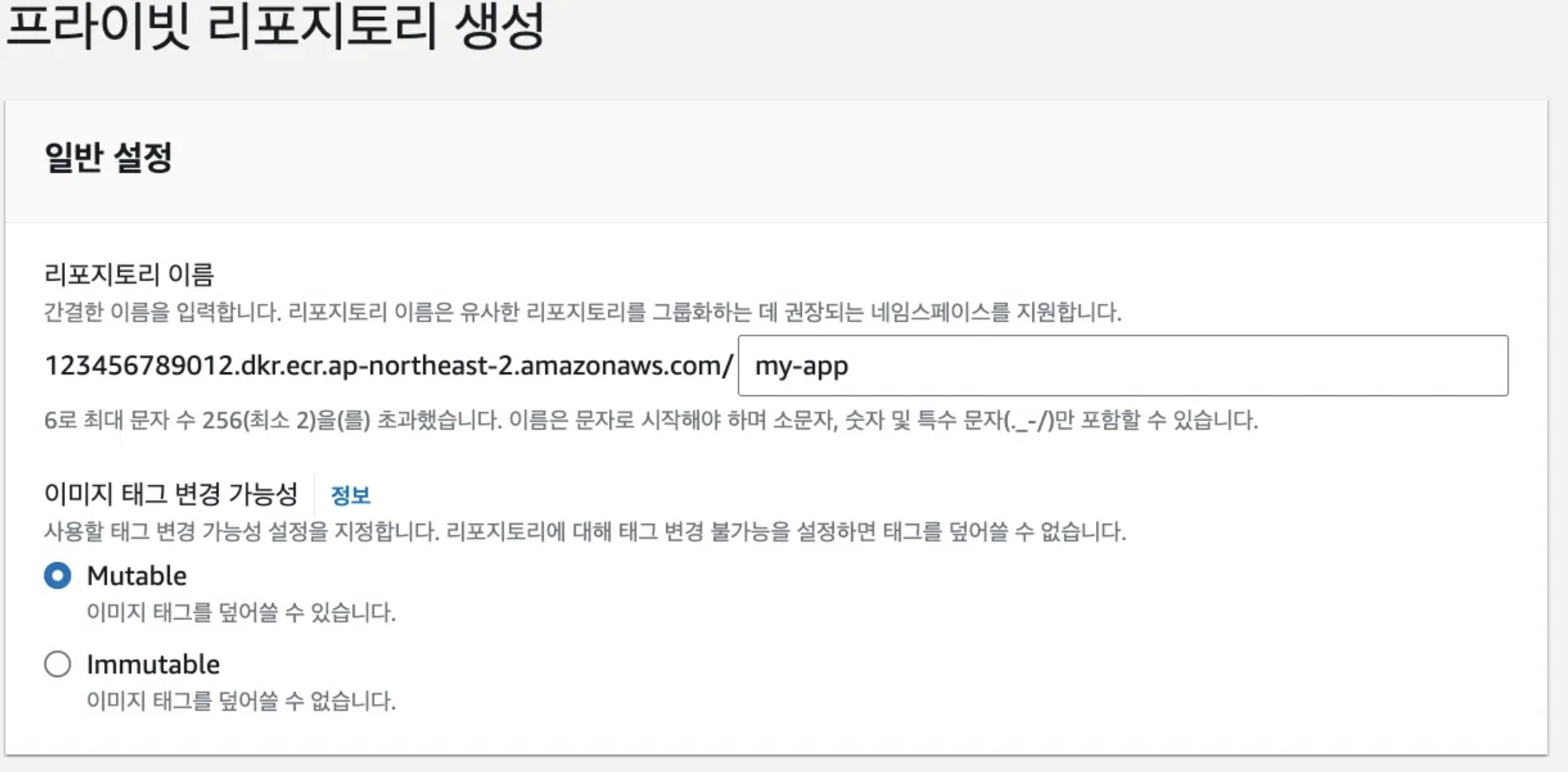 ECR 프라이빗 리포지토리 생성하기