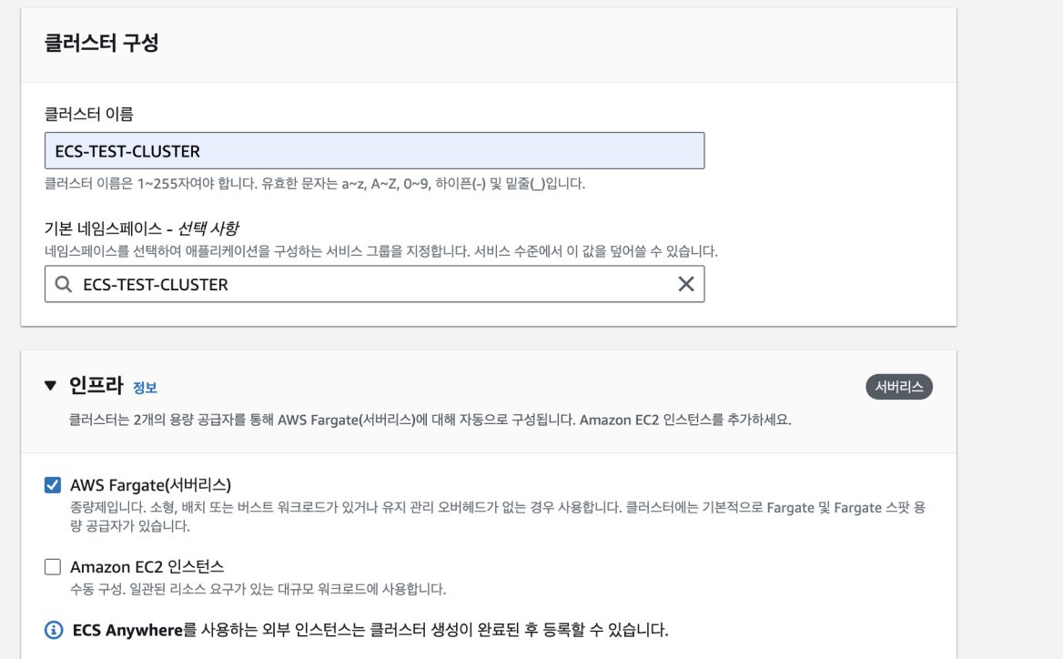 클러스터 구성 - 이름 및 인프라 설정