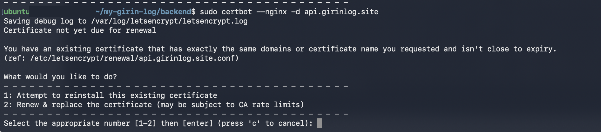 Certbot 인증서 상태 확인