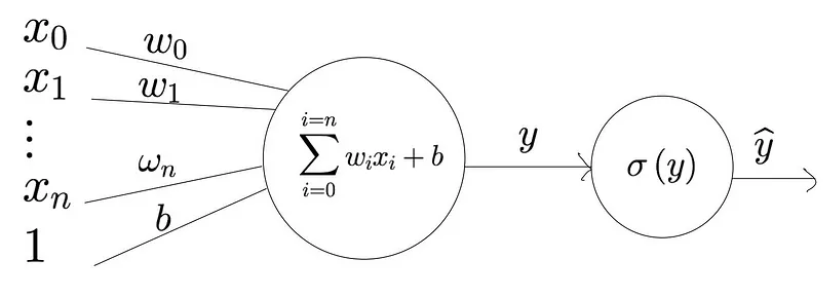 Structure of Perceptron