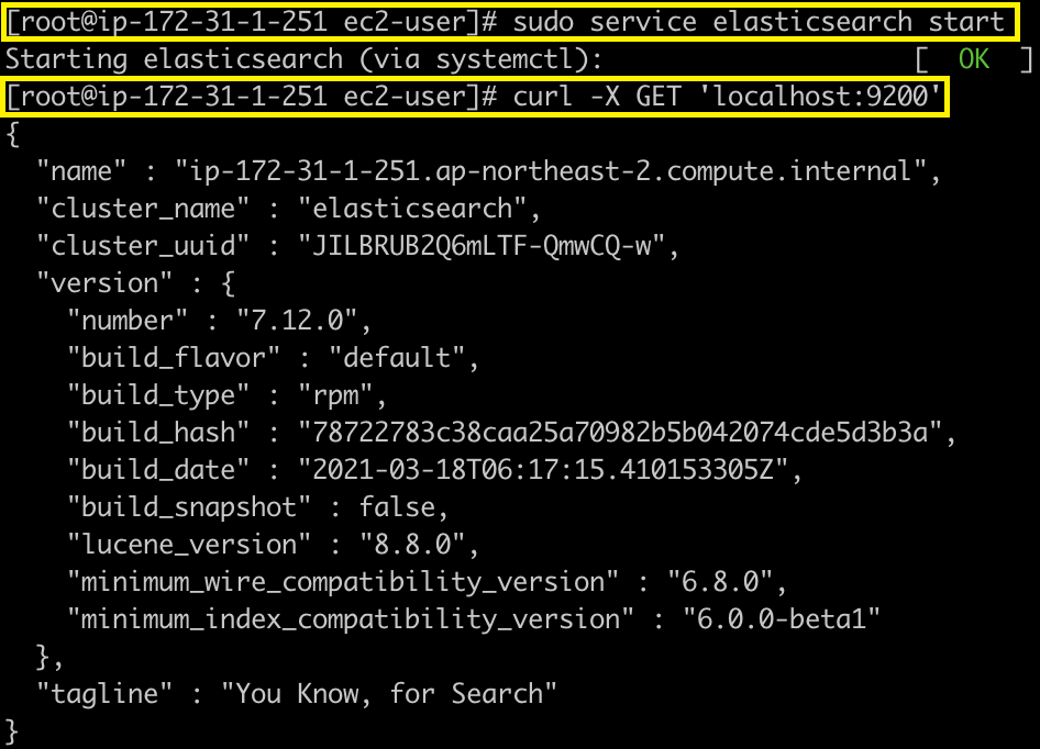 AWS EC2에 Elasticsearch 설치하기
