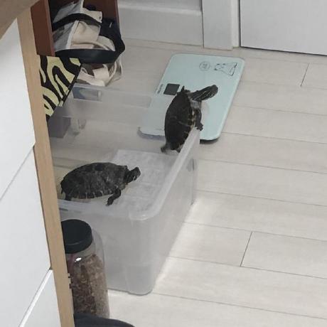 comment-user-thumbnail