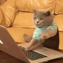 comment-user-thumbnail