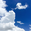 comment-user-thumbnail