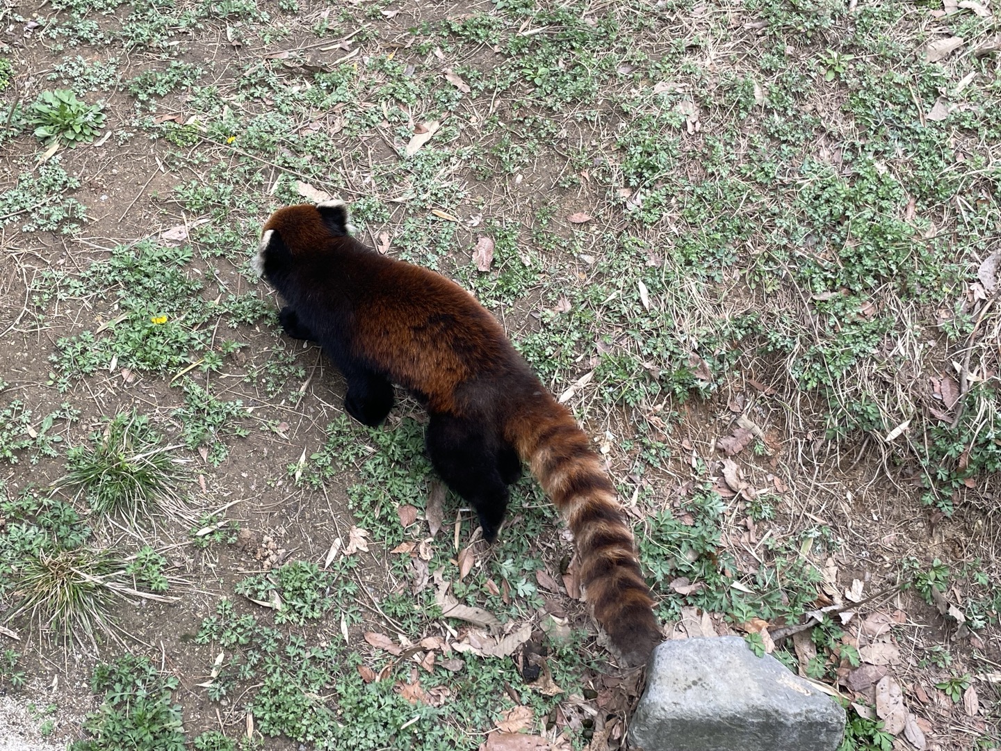 profile