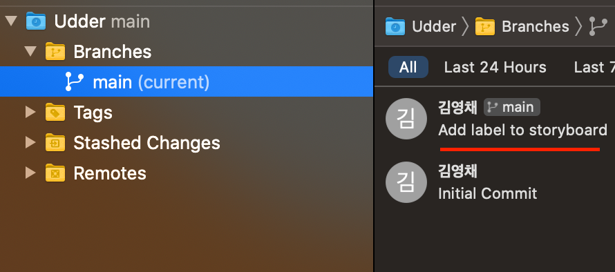 iOS & Swift 공부 - Xcode 를 이용한 Source Control